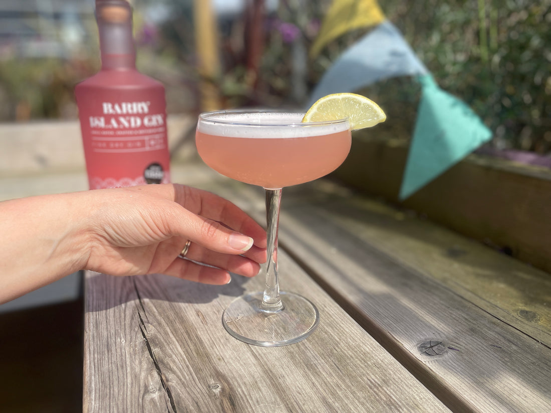 Pink Gin Fizz Cocktail Recipe