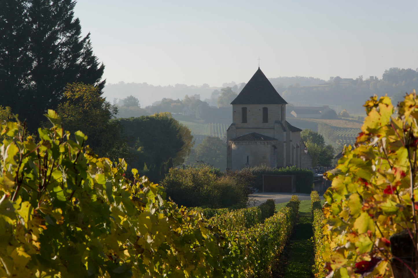 Meet the Wine Maker Event: Chateau Picoron